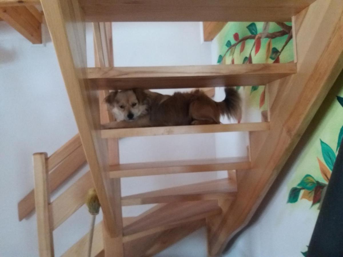 Domek Jaśka Baligród Zewnętrze zdjęcie